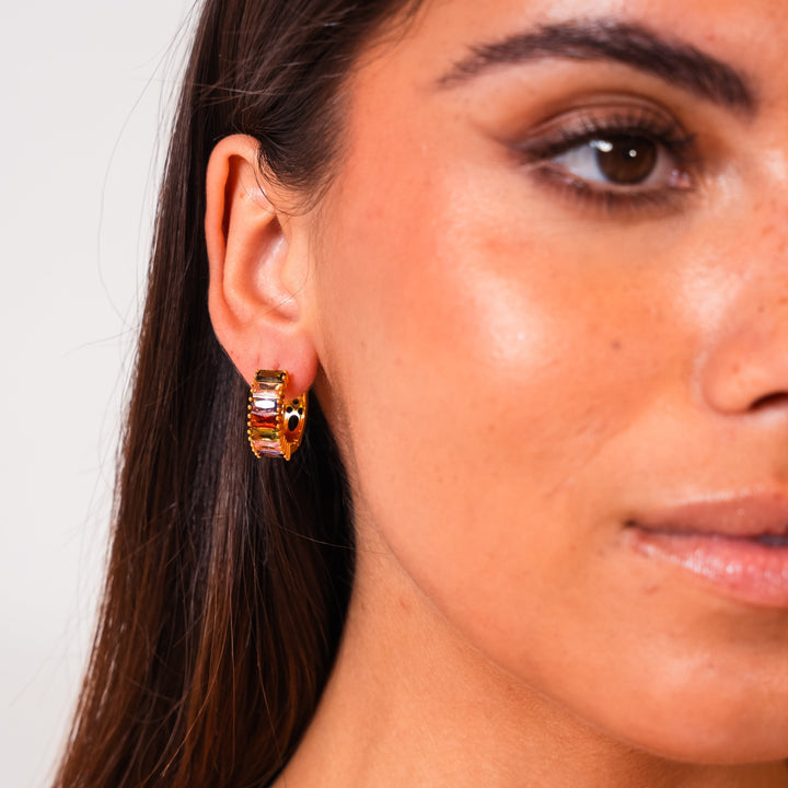 Rainbow Earrings